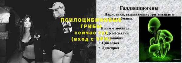 соль ск Каменка