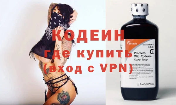 соль ск Каменка