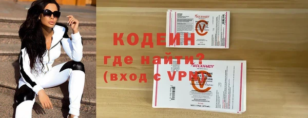 соль ск Каменка