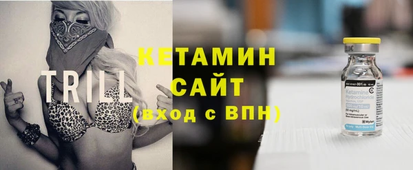 соль ск Каменка