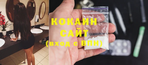 соль ск Каменка