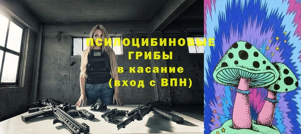 таблы Каменногорск
