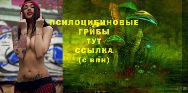 таблы Каменногорск