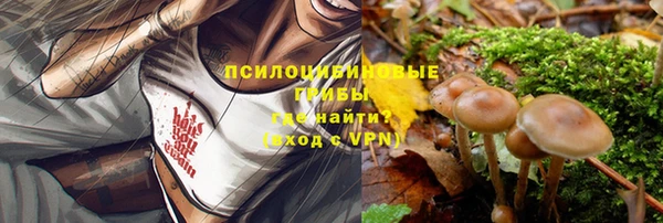 соль ск Каменка