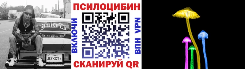 Купить где  Котово  Галлюциногенные грибы мицелий 